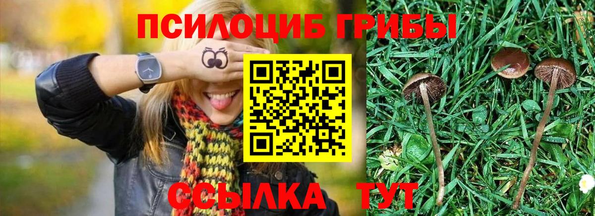 Галлюциногенные грибы GOLDEN TEACHER Феодосия